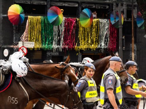 Policja w Brazylii