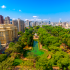 Belo Horizonte – nieruchomości i styl życia
