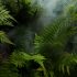 Amazonia – zielone serce Brazylii
