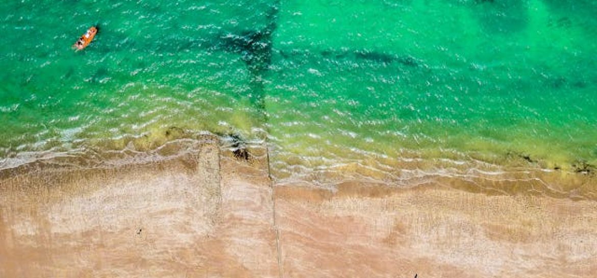 Poznaj prawdziwe różnice gospodarcze, społeczne i inwestycyjne oraz dowiedz się, dlaczego Brazylia przyciąga coraz więcej inwestorów z Europy.