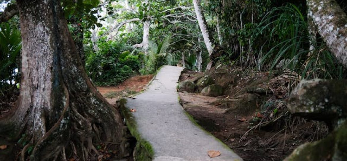 Ilha Grande – rajska wyspa Brazylii