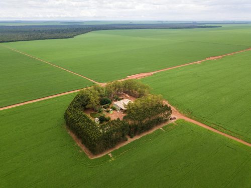 Dlaczego polscy rolnicy kupują ziemię w Brazylii?