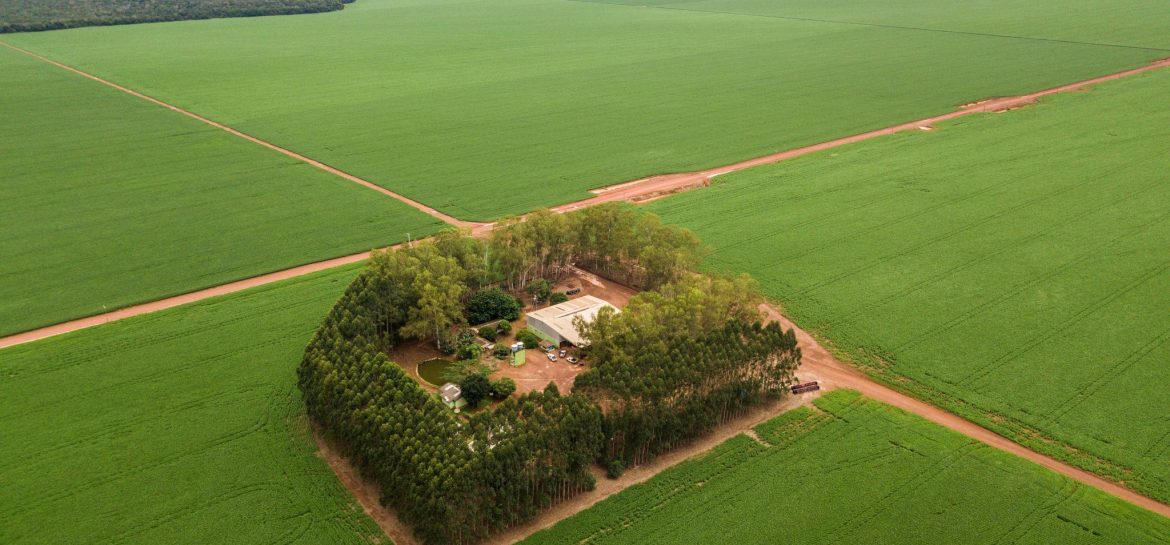 Dlaczego polscy rolnicy kupują ziemię w Brazylii?